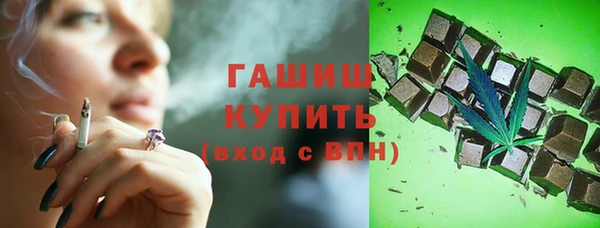 индика Осташков