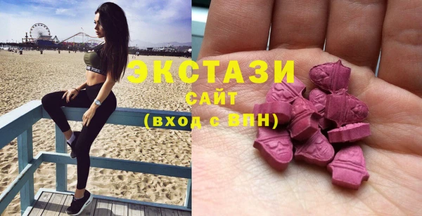 индика Осташков