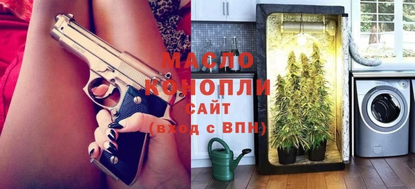 индика Осташков