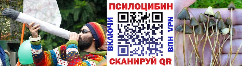 Псилоцибиновые грибы ЛСД  Тобольск 
