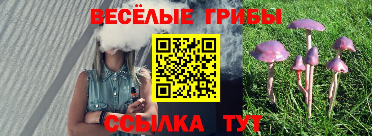 Псилоцибиновые грибы ЛСД Тобольск